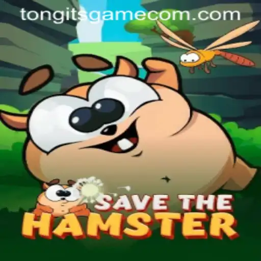 Discovering SavetheHamster and the Joy of Tongits Game